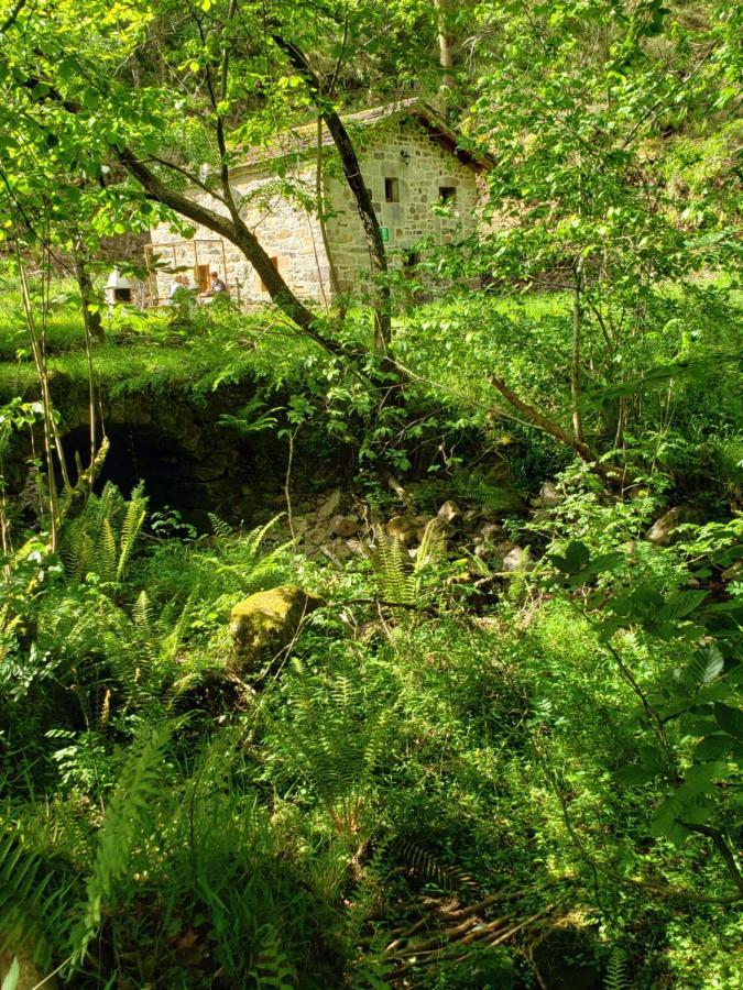 La Cabana Del Rio San Roque de Ríomiera Exteriör bild